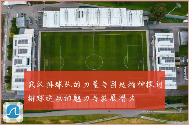 武汉排球队的力量与团结精神探讨排球运动的魅力与发展潜力